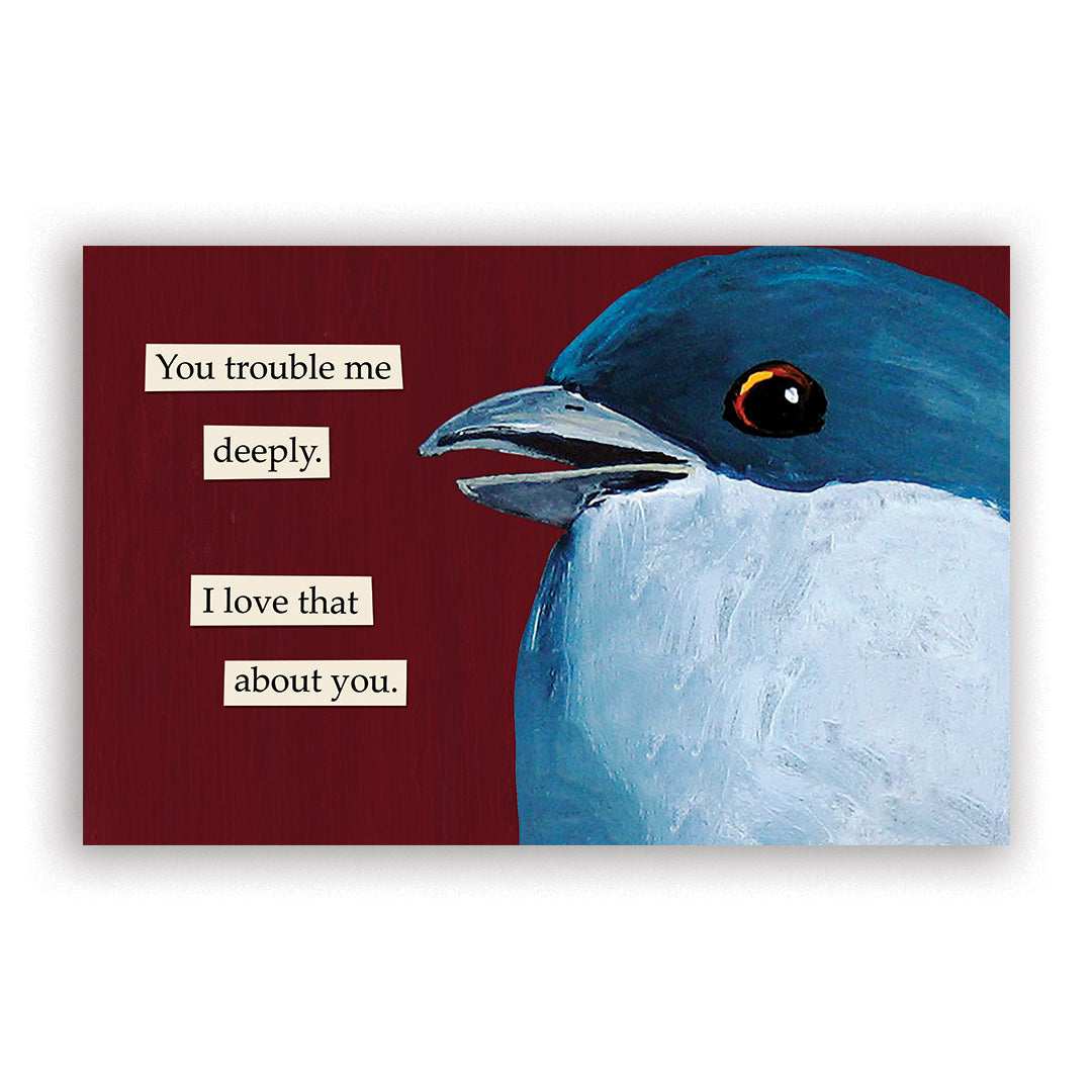 Troubled Birds 2026 Wall Calendar