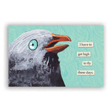 Troubled Birds 2026 Wall Calendar