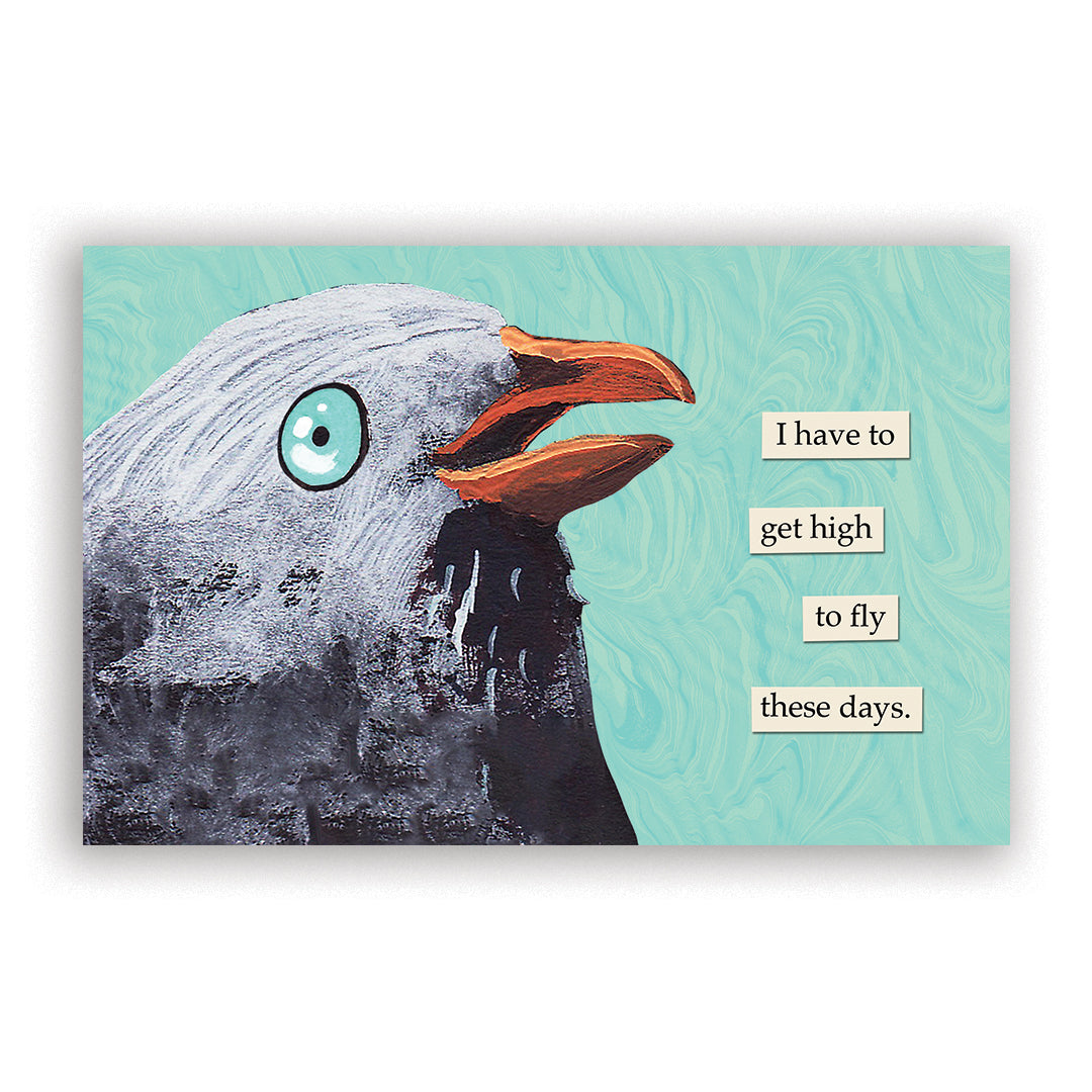 Troubled Birds 2026 Wall Calendar