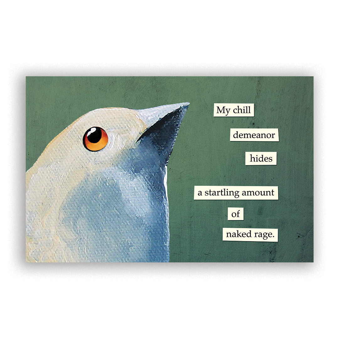 Troubled Birds 2026 Wall Calendar