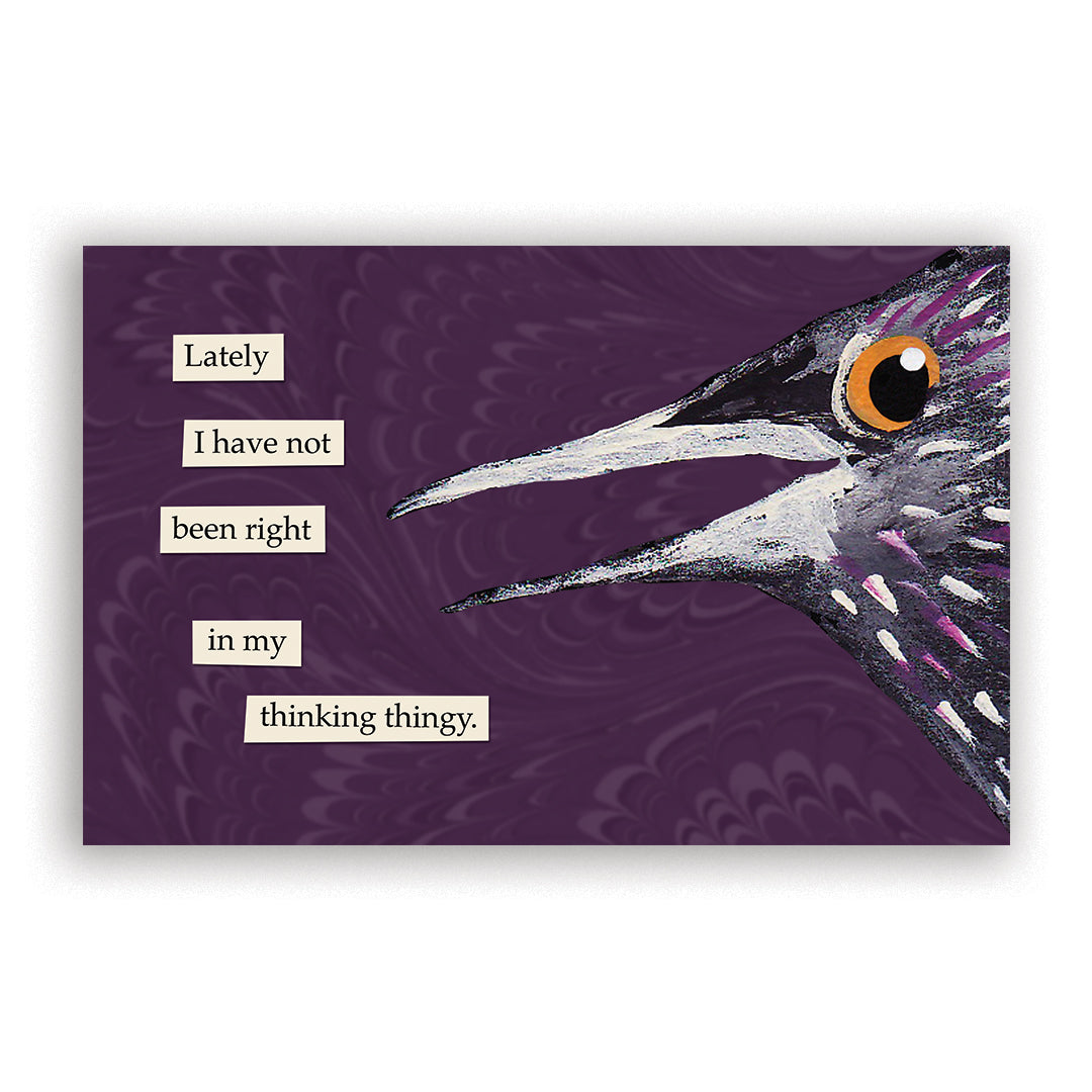 Troubled Birds 2026 Wall Calendar