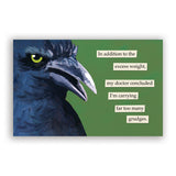 Troubled Birds 2027 Wall Calendar