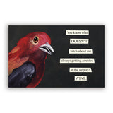 Troubled Birds 2027 Wall Calendar