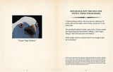 Sale - The Mincing Mockingbird Guide to Troubled Birds Book