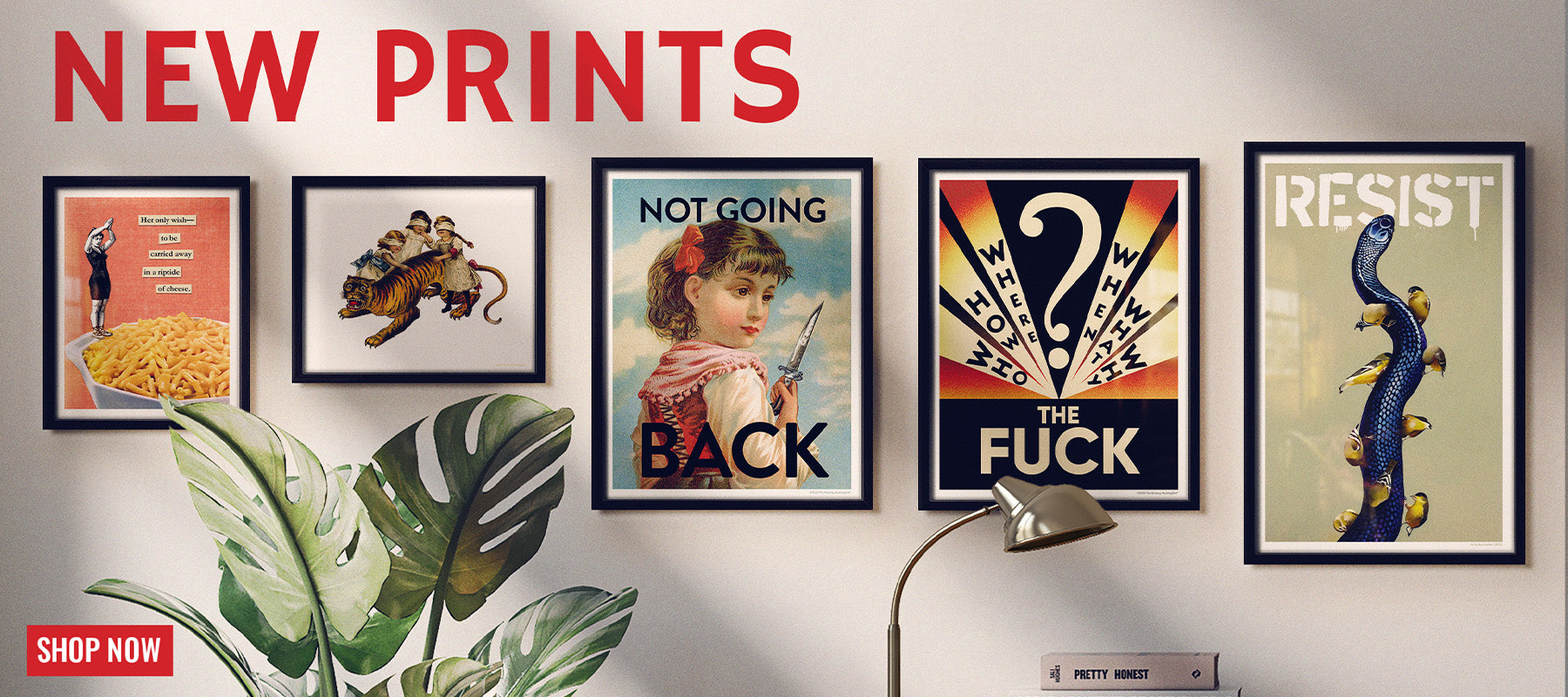 The Mincing Mockingbird & The Frantic Meerkat
