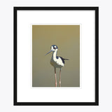 11 x 14 Limited Edition Art Print - Aquatic Twerking For Seniors