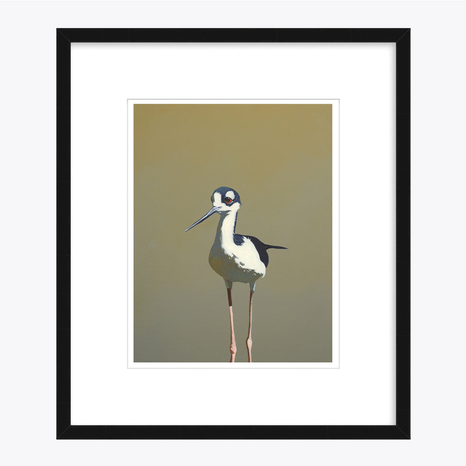 11 x 14 Limited Edition Art Print - Aquatic Twerking For Seniors