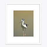 11 x 14 Limited Edition Art Print - Aquatic Twerking For Seniors