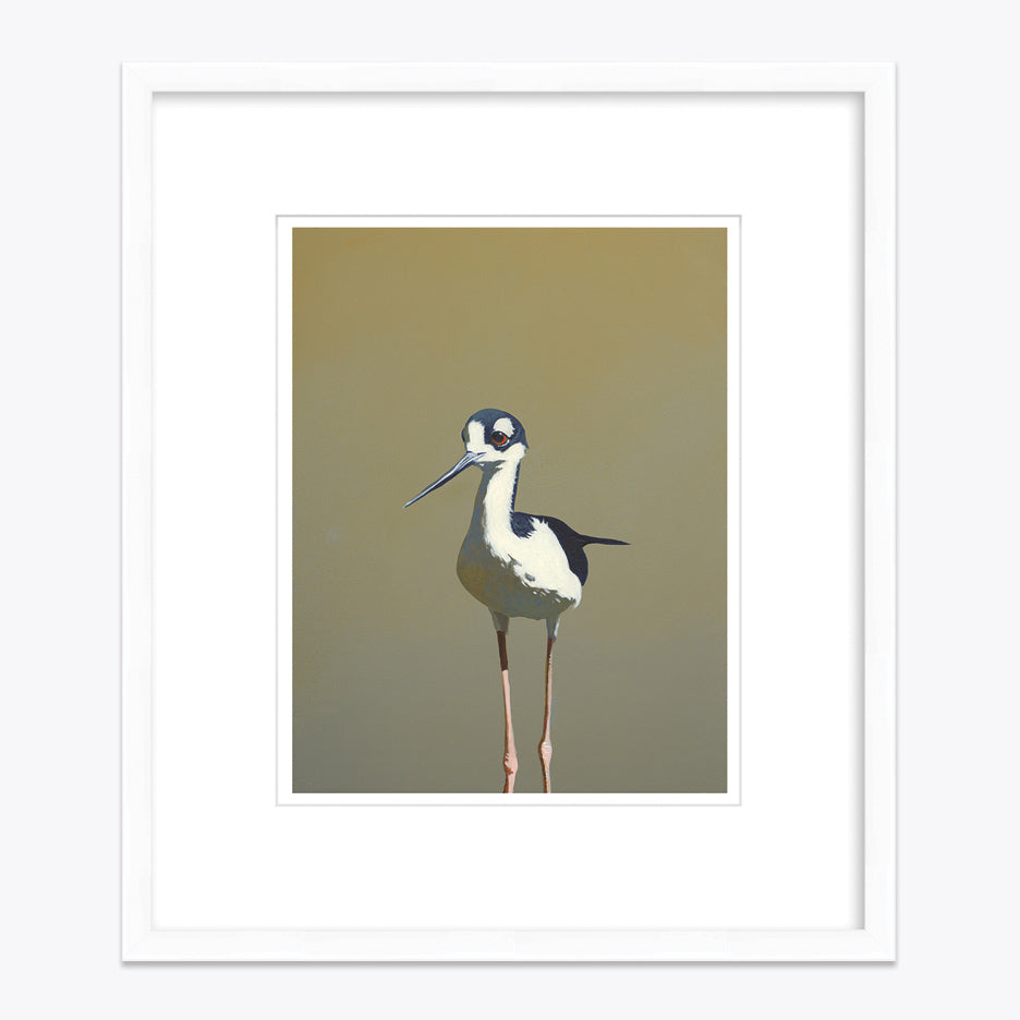 11 x 14 Limited Edition Art Print - Aquatic Twerking For Seniors