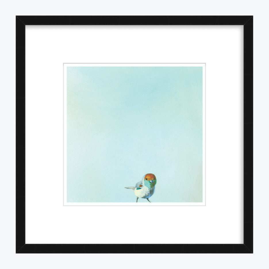 12 x 12 Art Print - Joey: The Boy Who Fought The Sky And Lost