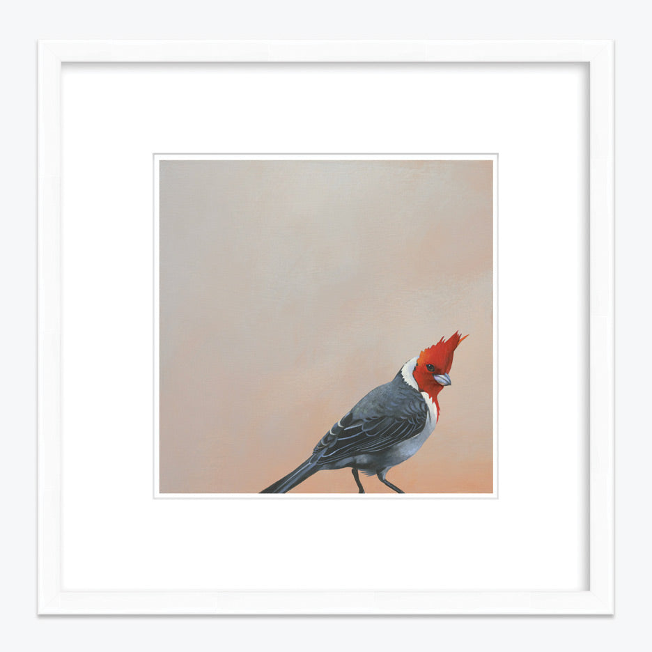 12 x 12 Limited Edition Art Print - Surprise, Surprise - This Self-Described “Cheeky Bastard”...