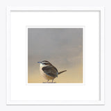 12 x 12 Limited Edition Art Print - Self Help For Luddites