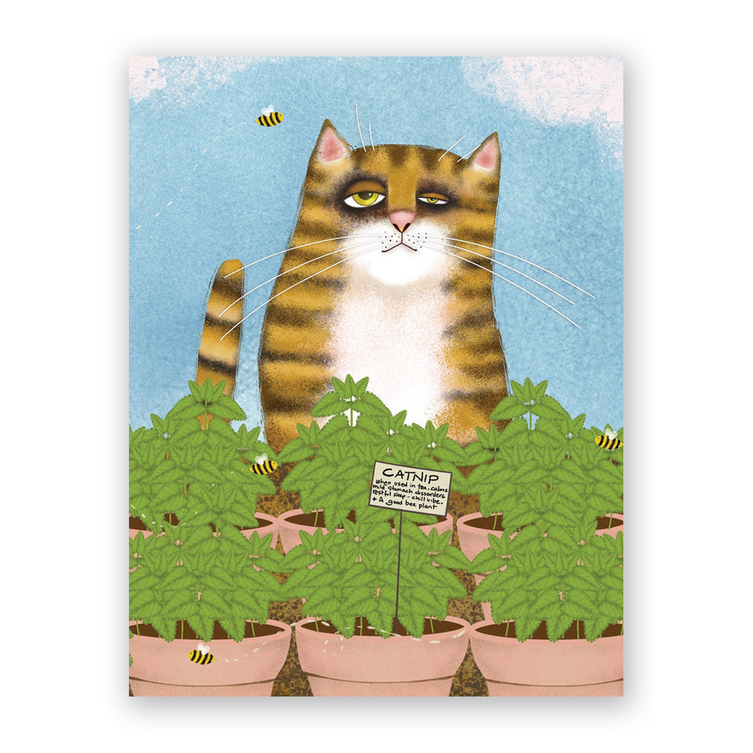 Cat Herb Card