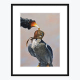 19 x 24 Limited Edition Art Print - They Say That Instead Of Sending An Angry Email You Might Regret...