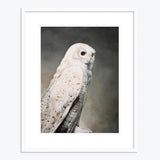 19 x 24 Limited Edition Art Print - In The Leaf Litter, Something Tries To Hide Its Own Heartbeat