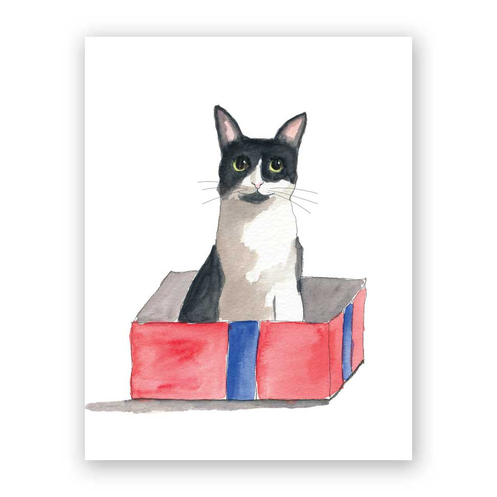 Box Cat Birthday Card