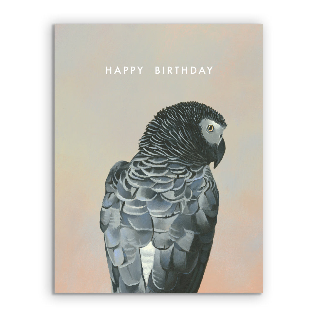 African Grey Parrot Birthday Card