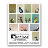 Matt Adrian Bird Thank You Box Set of 12