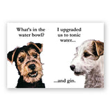Sale - Gin & Tonic Dogs Magnet