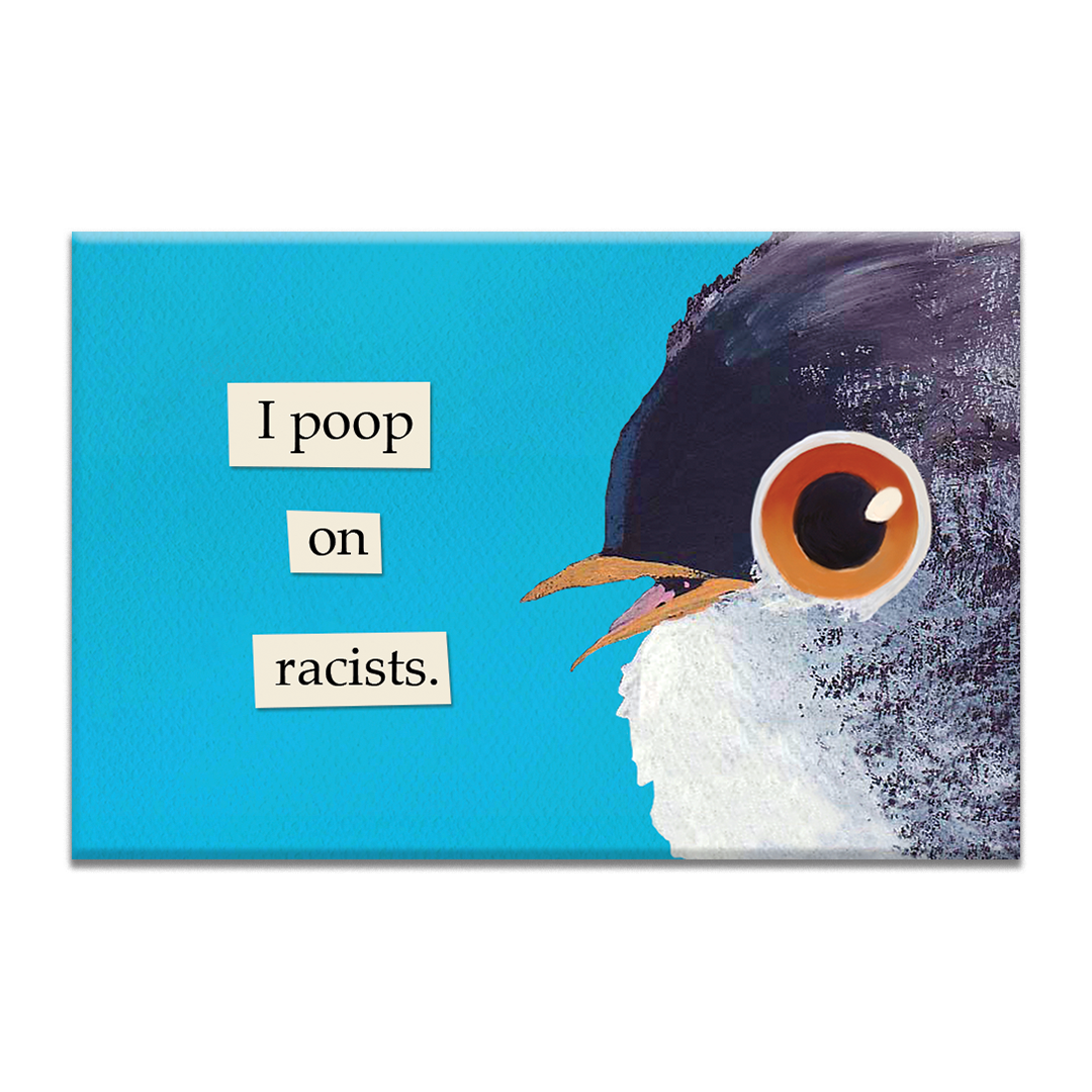 Poop on Racists Magnet