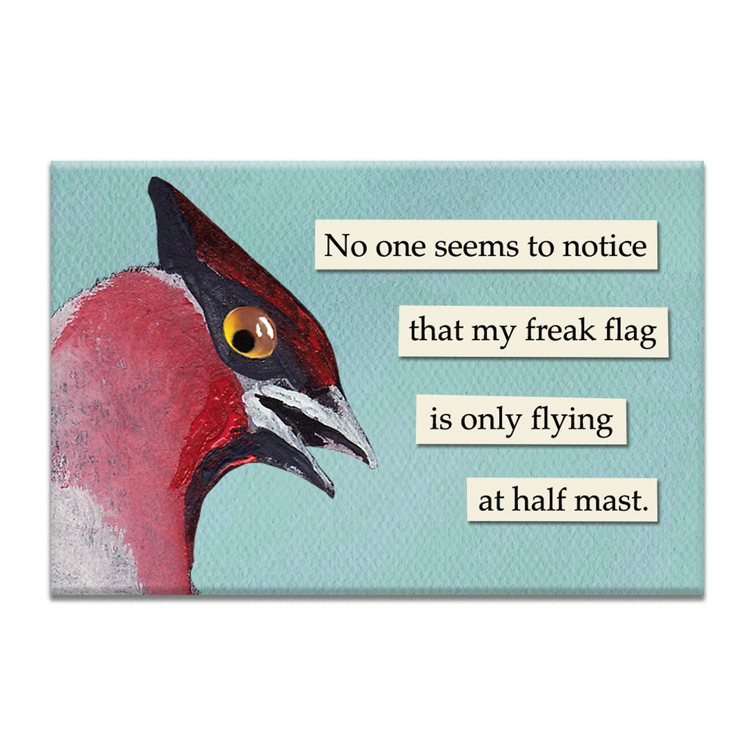 Freak Flag Magnet