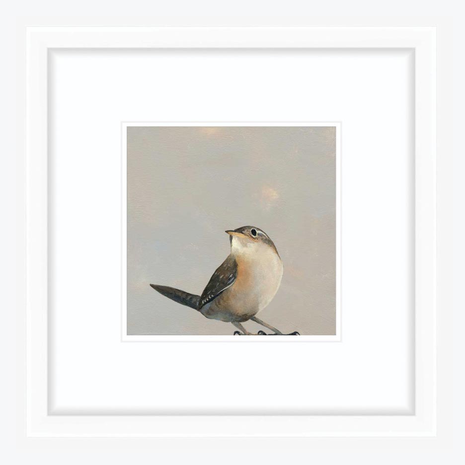 8 x 8 Art Print - Wren