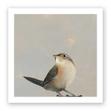 8 x 8 Art Print - Wren