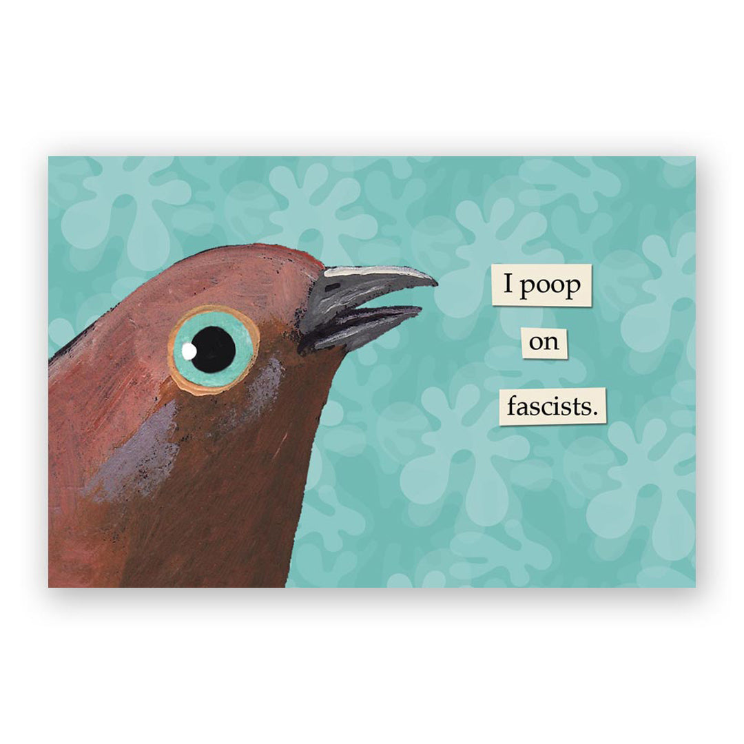 Mixed Postcards - Set of 10 - Troubled Birds