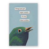 Mixed Postcards - Set of 10 - Troubled Birds