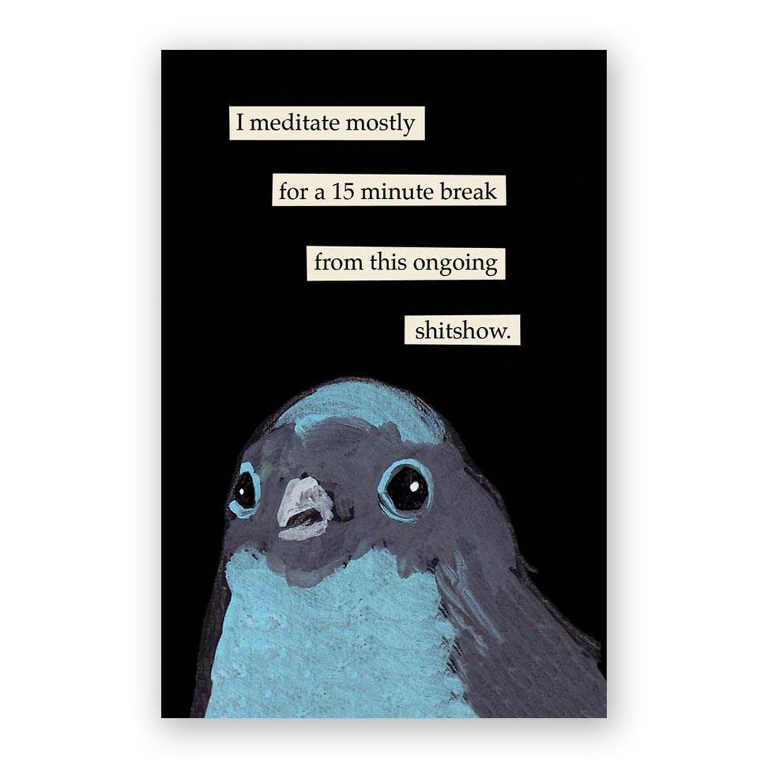Mixed Postcards - Set of 10 - Troubled Birds