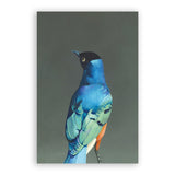 Mixed Fine Art Postcards - Set of 10 - Matt Adrian