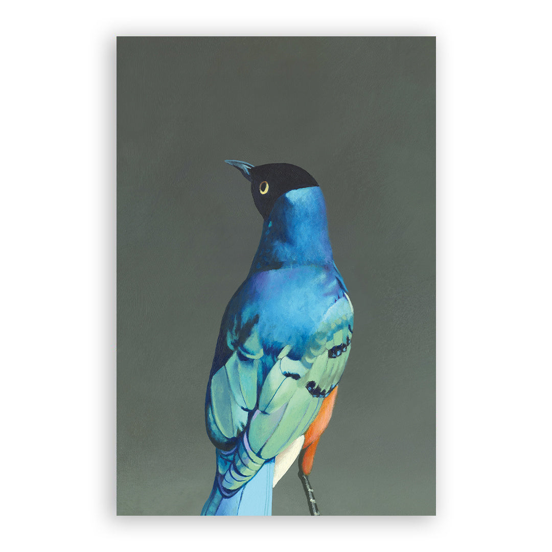 Mixed Fine Art Postcards - Set of 10 - Matt Adrian
