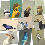 Mixed Fine Art Postcards - Set of 10 - Matt Adrian