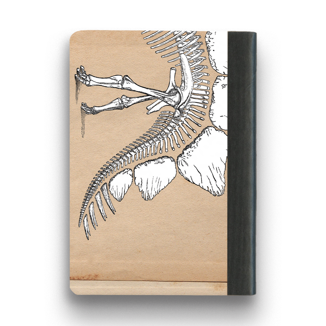 Dinosaur Notebook - Small