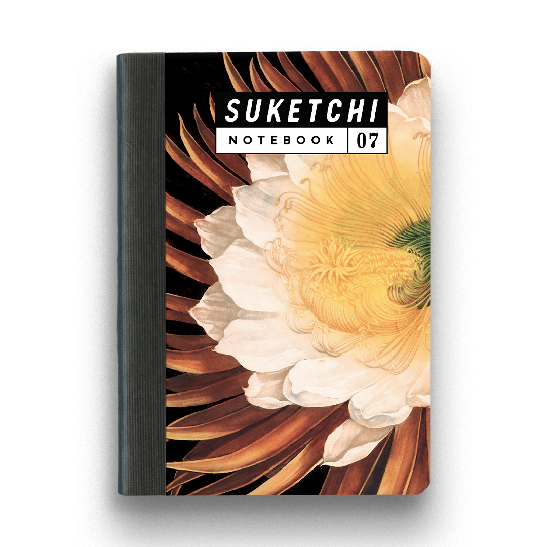 Suketchi Notebooks – The Mincing Mockingbird & The Frantic Suketchi Notebooks – The Mincing Mockingbird & The Frantic