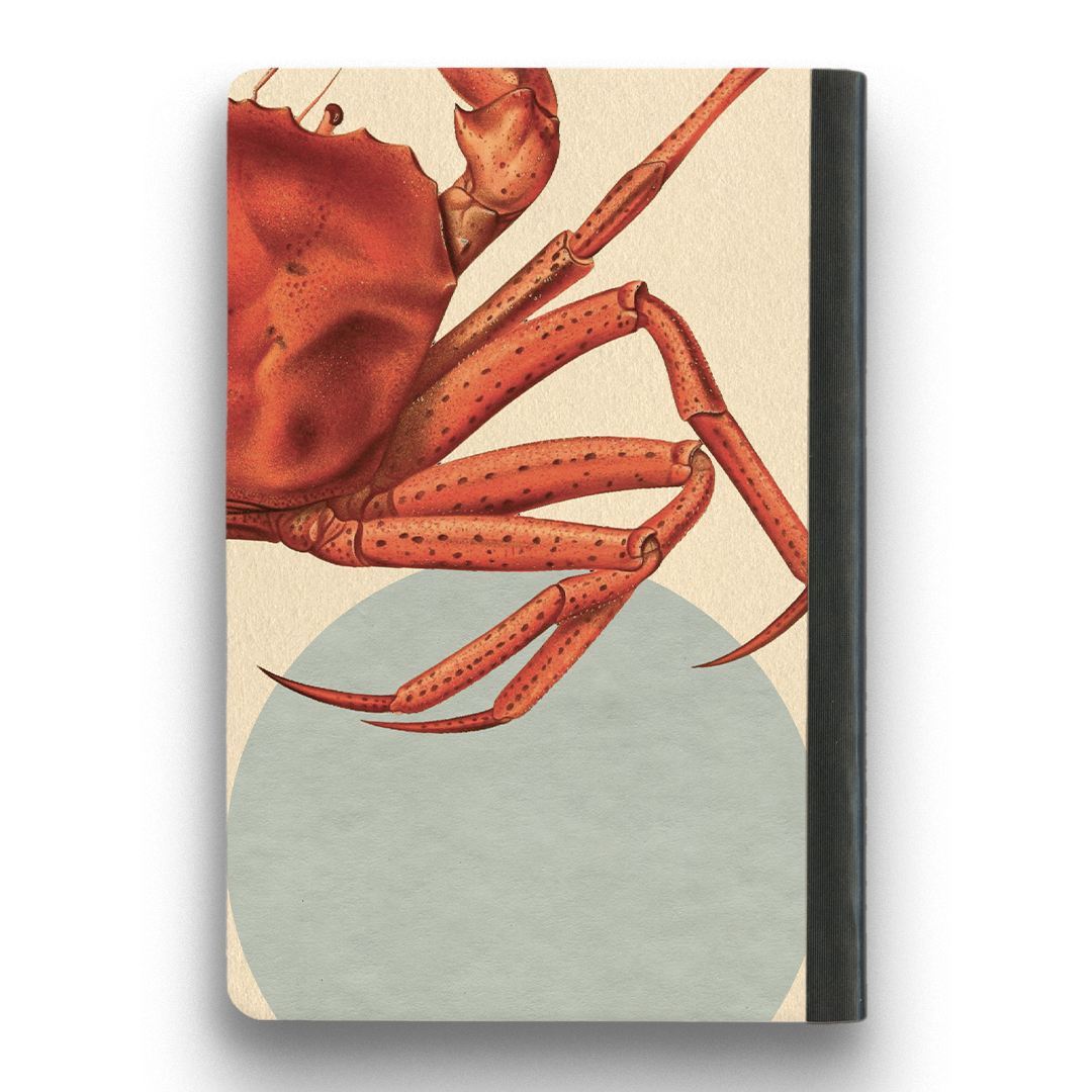 Crab Notebook - Medium