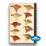 Sale - Bird Notebook - Medium