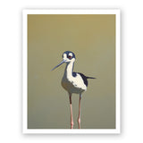 11 x 14 Limited Edition Art Print - Aquatic Twerking For Seniors