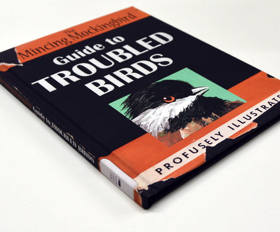 The Mincing Mockingbird Guide to Troubled Birds Book