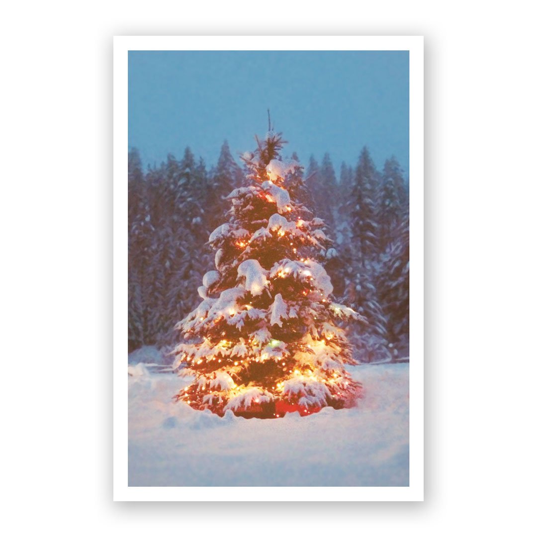 Snowy Christmas Tree Holiday Card