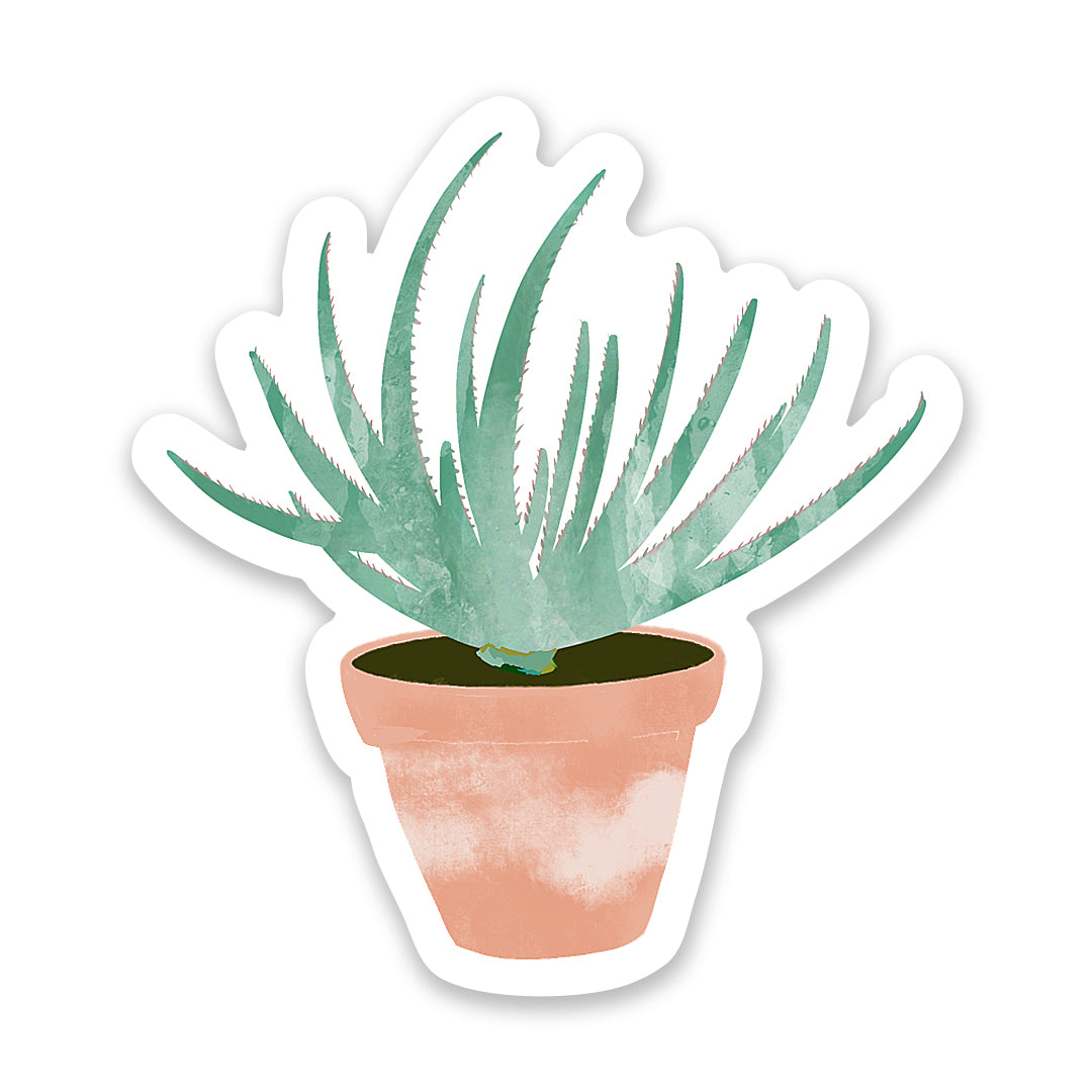 Aloe Sticker