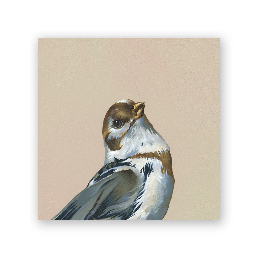 6 x 6 Snow Bunting Wings on Wood Decor
