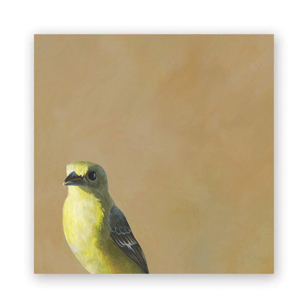 8 x 8 Goldfinch Wings on Wood Decor