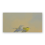 12 x 6 Panel - Wilson's Warblers Wings on Wood Decor