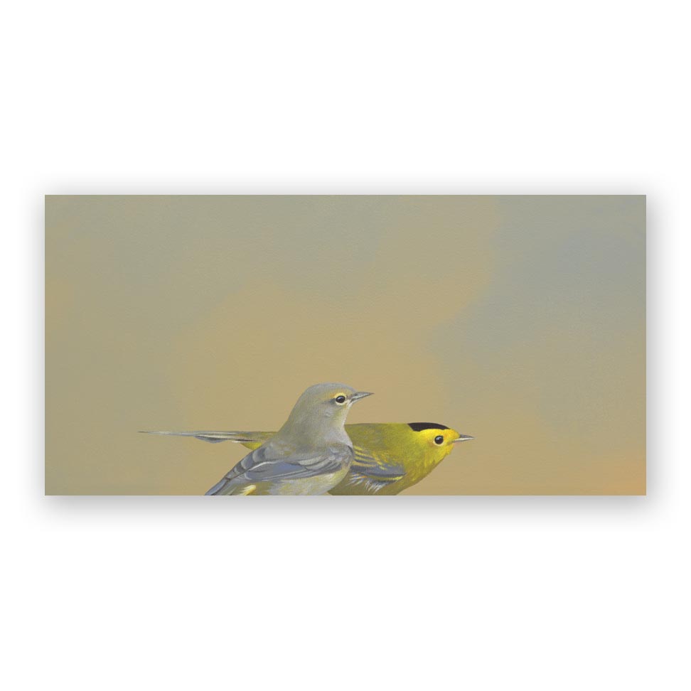 12 x 6 Panel - Wilson's Warblers Wings on Wood Decor