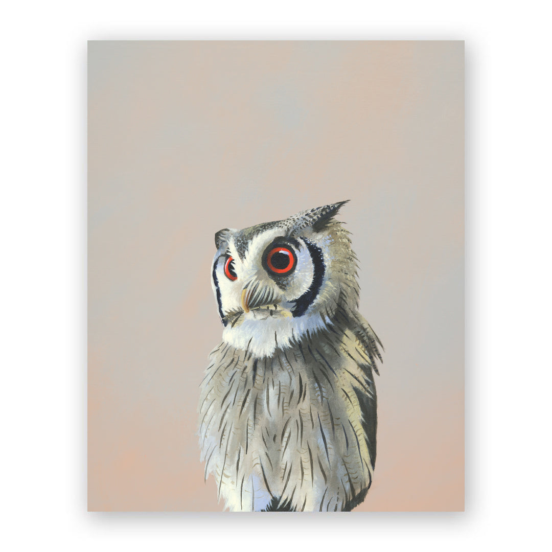 8 x 10 Panel - African Scops Owl Wings on Wood Decor