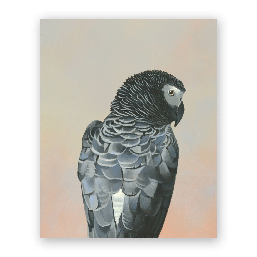 8 x 10 Panel - African Grey Parrot Wings on Wood Decor