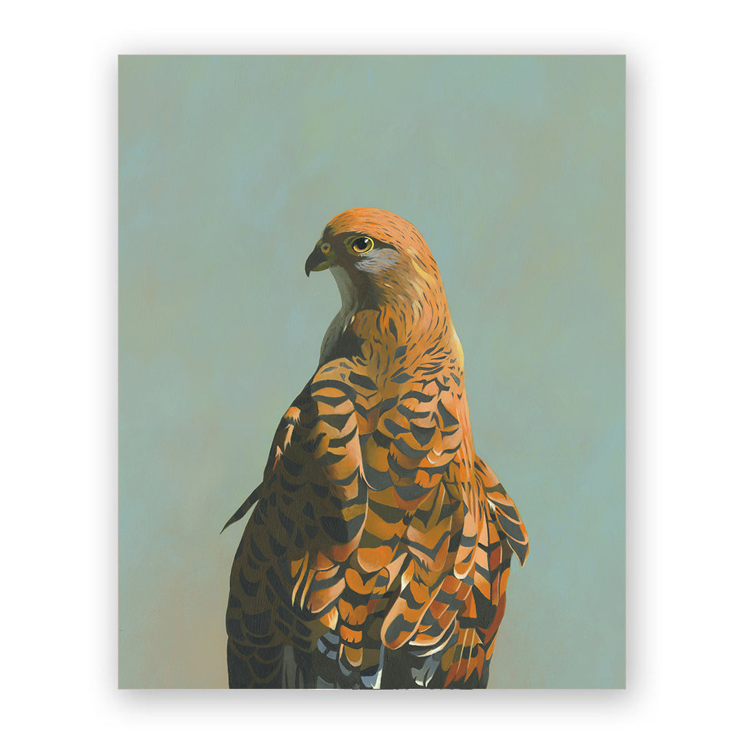 8 x 10 Panel - African Hawk Wings on Wood Decor