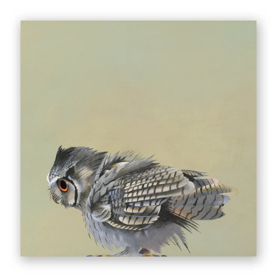 10 x 10 Scops Owl Wings on Wood Decor