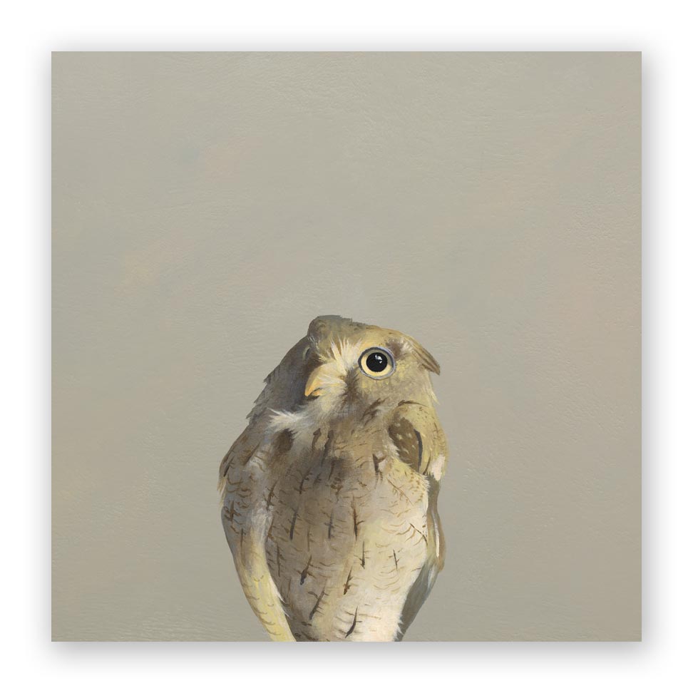 Sale - 10 x 10 Screech Owl Wings on Wood Decor
